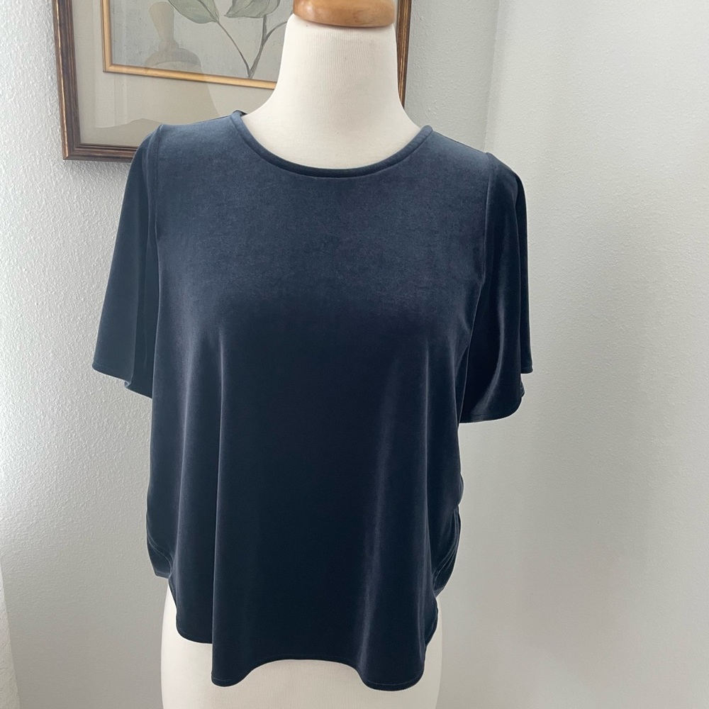 Velvet Madewell shirt